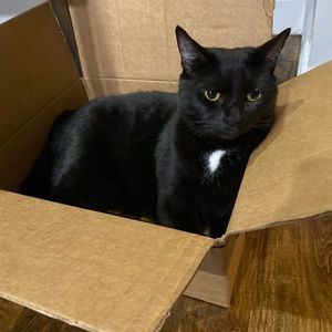 Meet your Posher, Michael